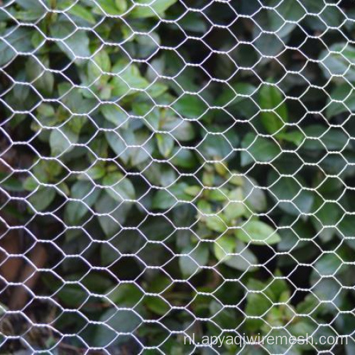 Agricultural fazant mesh netting hexagonale draadnet